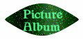 Picture Album