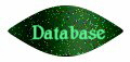 Database